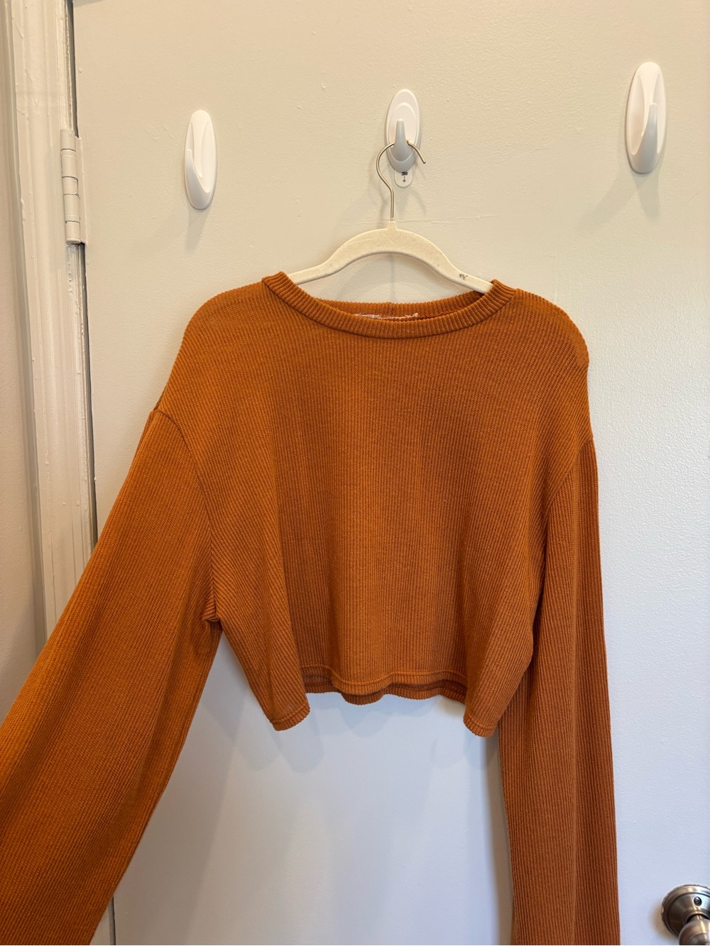 Urban Outfitters Cropped Ribbed Long-Sleeve Top in Rust Orange